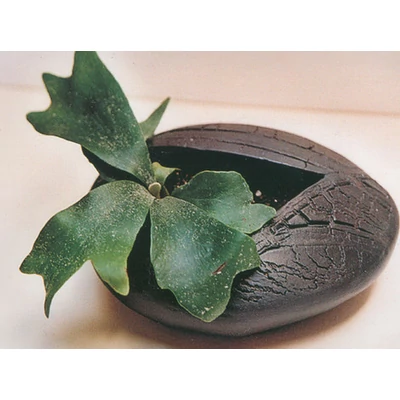 366 plasztikus barna massza